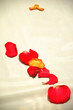petals petals