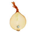 onion with a pearl inside