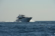 balade en yacht