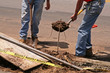roadside construction workers
