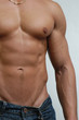 muscular male torso