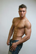 muscular male torso