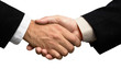 two businessmen shaking hands