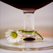 glass of wine and flower