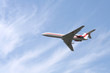 polish government plane polish government plane