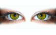 yeux verts