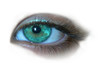 yeux verts