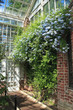 greenhouse wall greenhouse wall