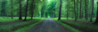 belleau wood