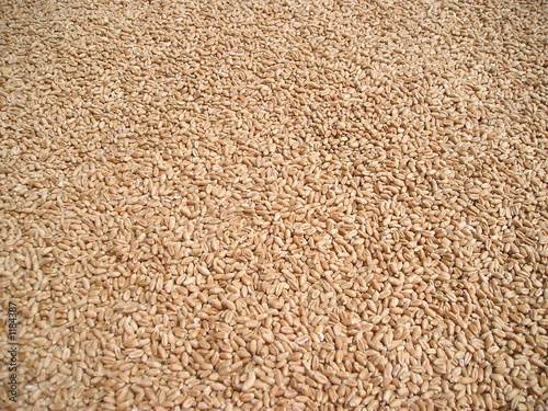 background texture. ackground, texture