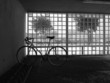 vélo sous la neige
