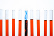 chemical reaction