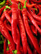 red hot chilly peppers.
