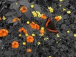 butterfly and flowers