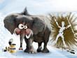 Photo en ligne au meilleur prix le pet de tantor