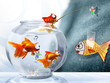 Photo en ligne au meilleur prix homme d'avril et poissons aussi
