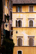 windows windows