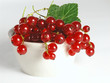 summer fruits: redcurrant summer fruits: redcurrant