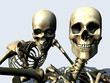 skelton12