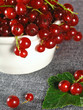 summer fruits: redcurrant summer fruits: redcurrant