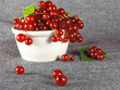 summer fruits: redcurrant summer fruits: redcurrant