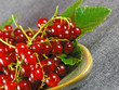 summer fruits: redcurrant summer fruits: redcurrant