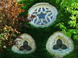 rosettes