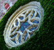 rosette