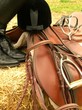Photo: hunter gear hunter gear