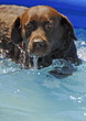 super splashhhhh