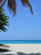 mullet bay