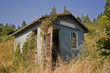 Foto: old shack/cottage old shack/cottage