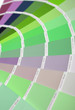 the choice of colors