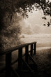sepia-toned wooden bridge and path