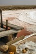 marais salants