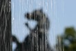 pferdestatue mit wassertropfen pferdestatue mit wassertropfen