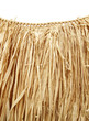 hawaiian luau - grass hula skirt