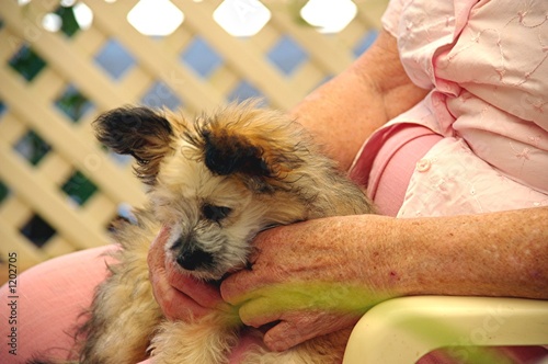 Photo: care visit 2. care visit 2.