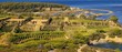 vignes en provence