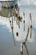 paysage de pêche