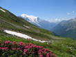 vue sur le mont blanc
