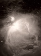 m42 orion nebula