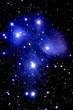 m45 cluster - pleades