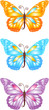 butterflies
