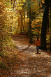 autumn hike