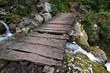 plank bridge
