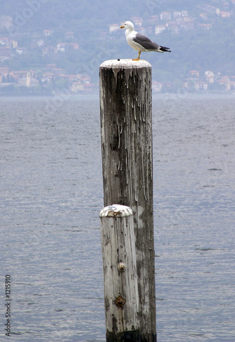 Foto: lago di como lago di como