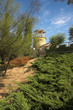 arbor and greeen grass, malgrat del mar, costa brava, spain arbor and greeen grass, malgrat del mar, costa brava, spain