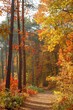 colors of fall