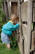 in the village 15 (fence)